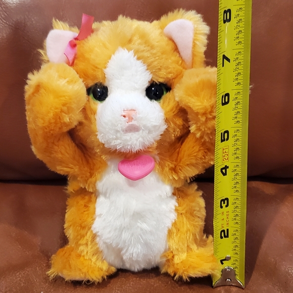8 inch Fur Real Friends Peek A Boo Orange Cat Interactive Toy Works - Picture 11 of 11